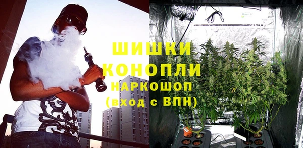 прущие грибы Куйбышев