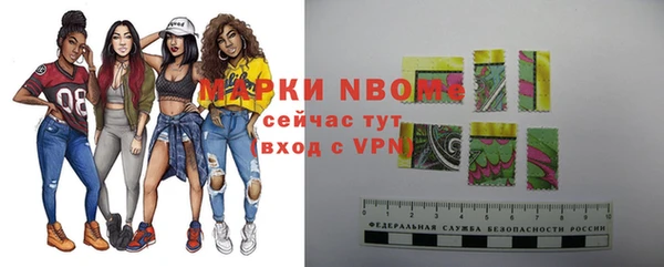 прущие грибы Куйбышев