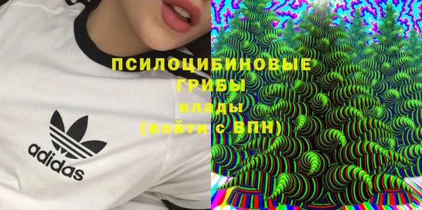 прущие грибы Куйбышев