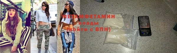 прущие грибы Куйбышев