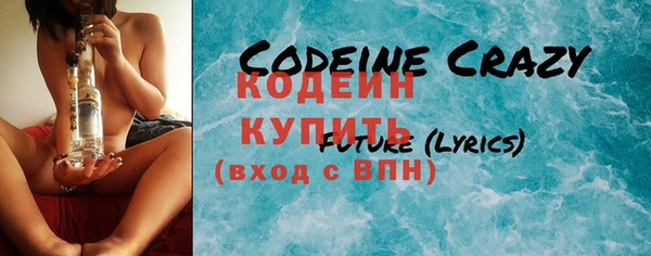 прущие грибы Куйбышев