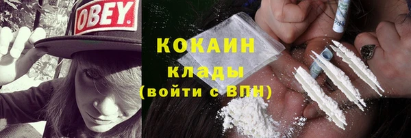 прущие грибы Куйбышев
