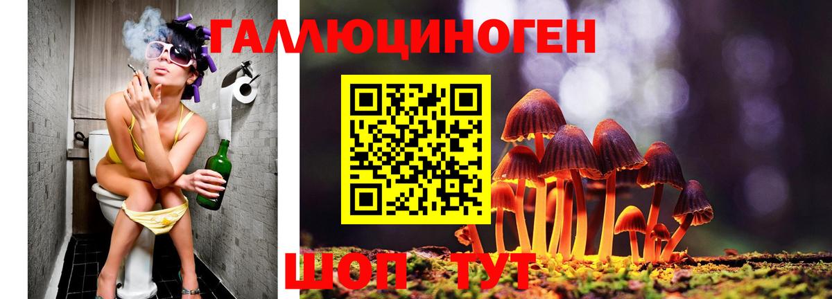Псилоцибиновые грибы прущие грибы Бор