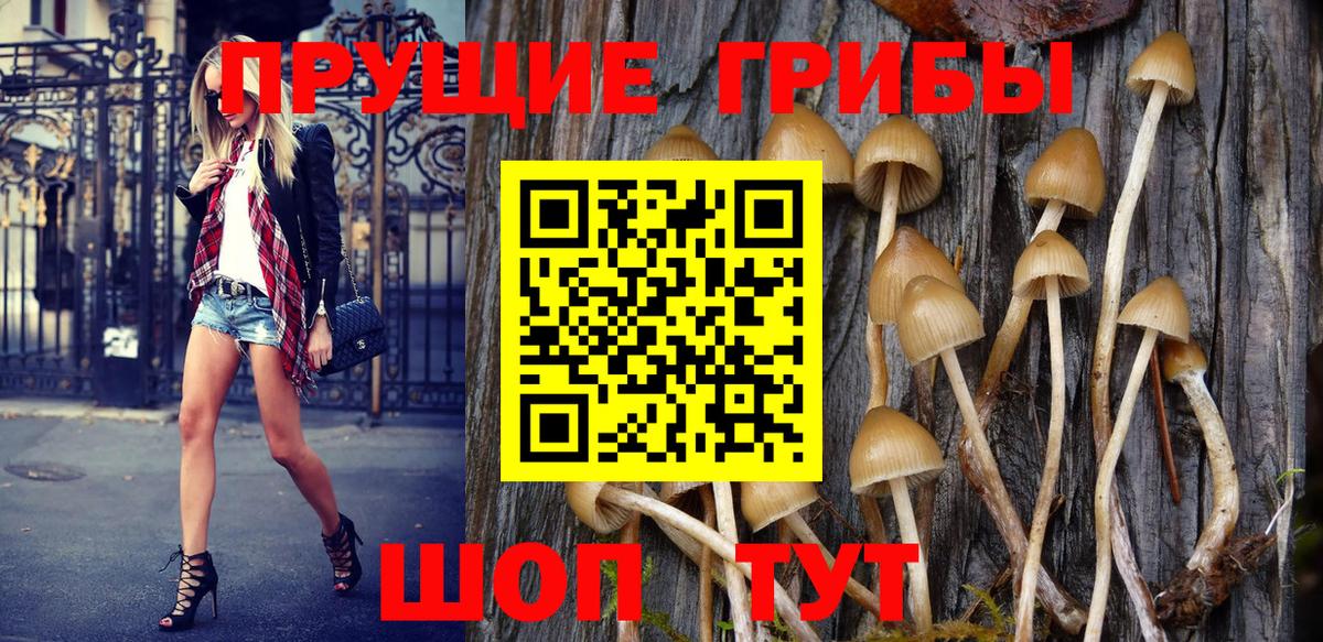 дарнет шоп  Бор  Галлюциногенные грибы ЛСД  Псилоцибиновые грибы ЛСД 