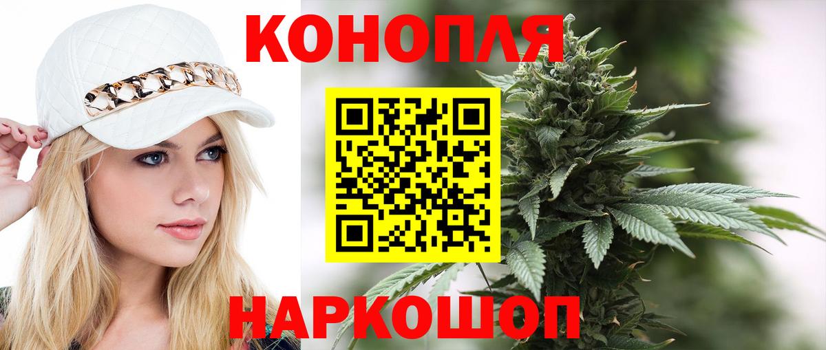 Бор  Марихуана сатива  Вход с VPN  Бошки Шишки планчик  Марихуана планчик 